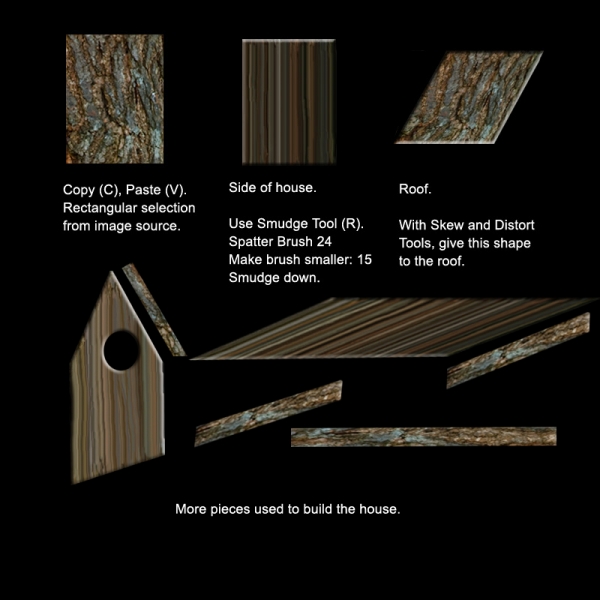 Creation of Bird House: Step 2